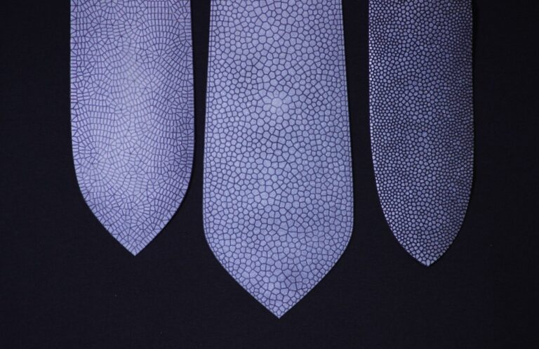 Pacorium Ties
