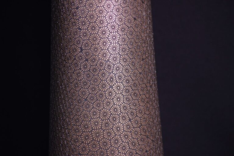 Pacorium Montastraea